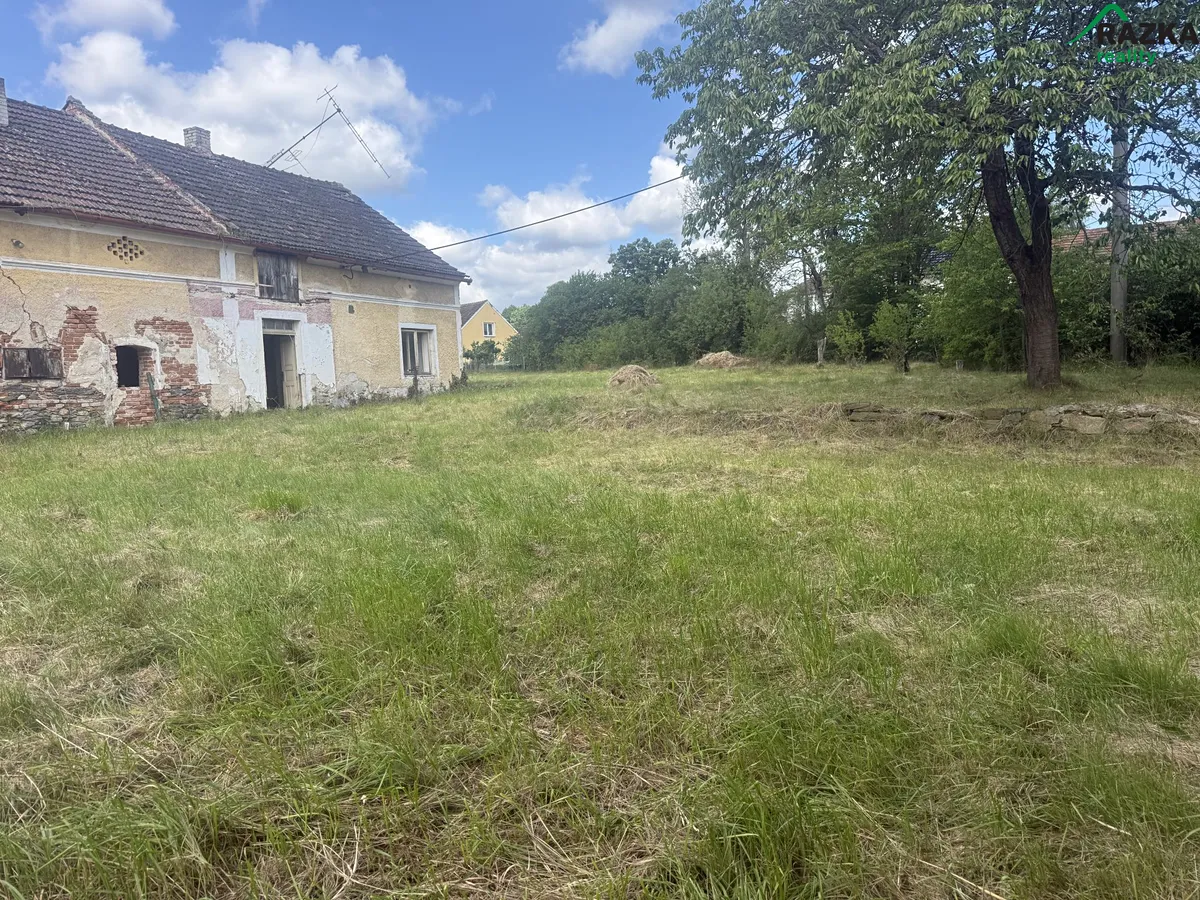 Fotka 16 z 16
